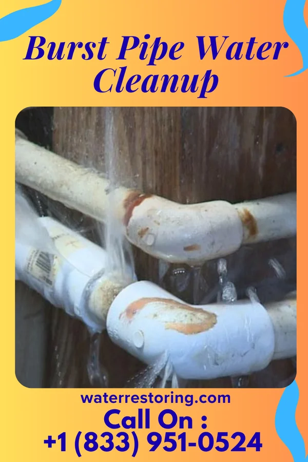 Burst Pipe Water Cleanup in Holland, MO