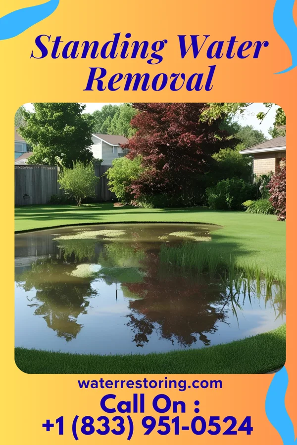 Standing Water Removal in Holland, MO